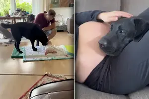 Dog mom is worried her pup won't like the new baby – then he "tells" her the truth in viral post