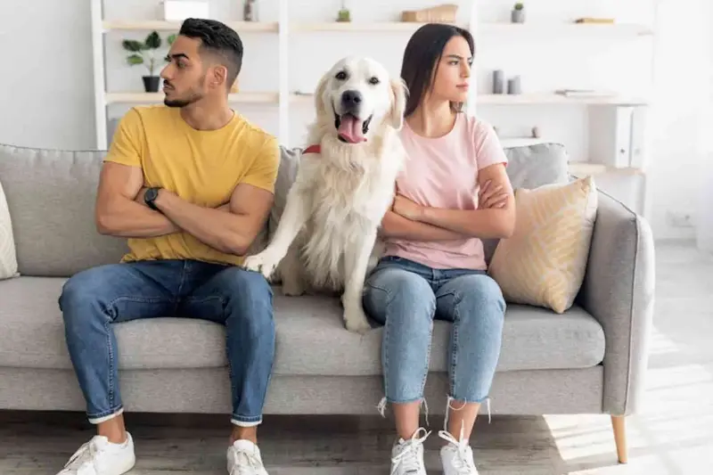 Svolta nei divorzi in Brasile, il Senato approva l’affido condiviso per cani e gatti: ti spiego come funziona