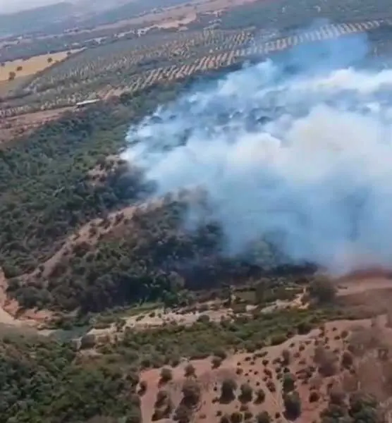 Estabilizado desde medianoche el incendio forestal en un paraje de Gerena