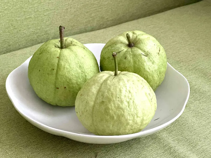 oi chin.jpg