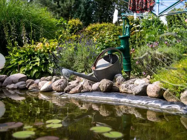 Der Winter hinterlässt Spuren am Teich. Jetzt ist der richtige Zeitpunkt, Ufer und Randbereiche in Ordnung zu bringen.