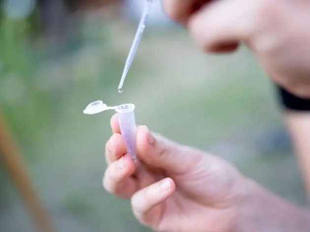 Nach dem Winter lohnt es sich, das Teichwasser sanft zu klären – oft reichen einfache Maßnahmen wie ein Teilwasserwechsel.
