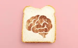 How ultra-processed foods are rewiring your brain, from white bread to ready meals