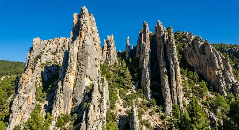 El Triángulo Verde del Cabriel: Ruta Rural por Enguídanos, Minglanilla y Víllora 10