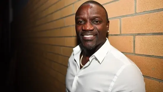 One project can't close a gap this big, but Akon's solar push put the issue in the spotlight.