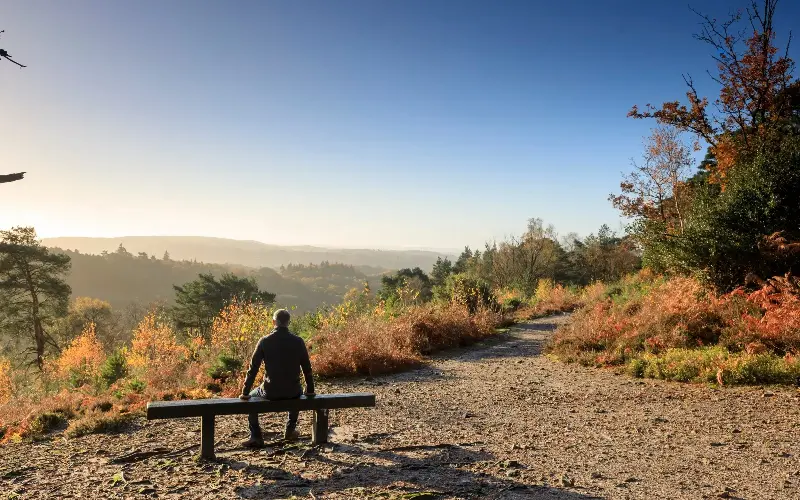Hindhead Commons takes in the striking Devil’s Punchbowl, Gibbet Hill and swathes of heather - ©National Trust Images/John Miller