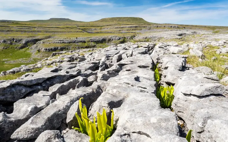 The Austwick and Crummackdale loop takes in limestone pavement and sweeping views across the Yorkshire Three Peaks - Ashley Cooper
