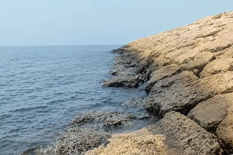 L'olio sta inquinando le coste dell'Oman