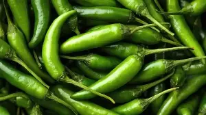 Monsoon Gardening: Vegetables To Grow To Harvest By September