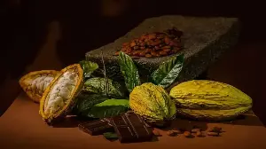 How India’s Craft Chocolate Makers Are Building a Category