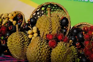 Researchers harness AI for durian analysis