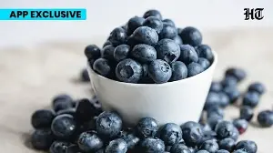 Fresh, dried or frozen? UK nutritionist shares best blueberry option to buy for maximum nutritional benefits