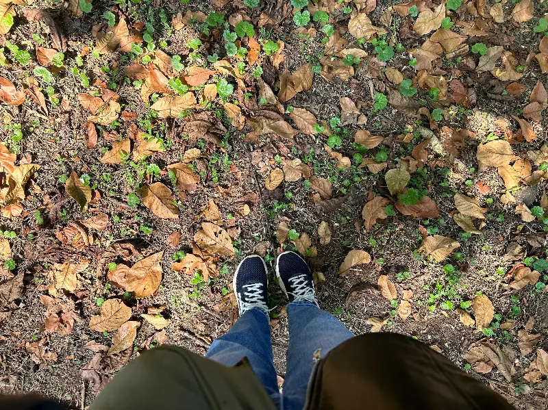 No goals, no hurry. Just the crunch of dry leaves underfoot and the smell of damp earth. (Pic: Sanya Panwar)