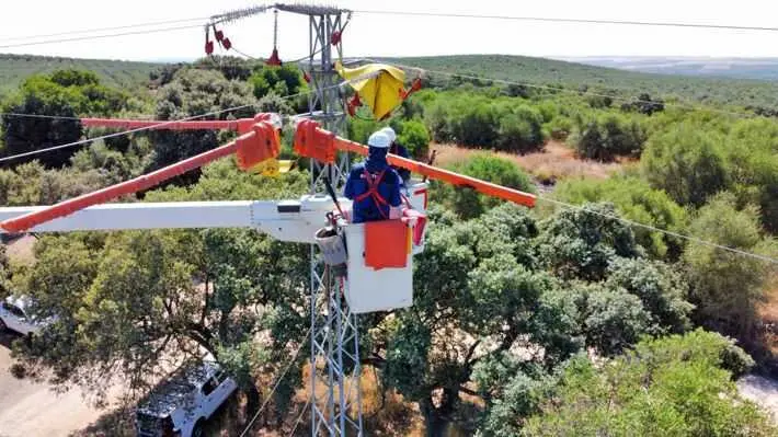 Endesa prueba en Huelva y Cataluña nuevas soluciones tecnológicas para proteger a las aves en su red eléctrica