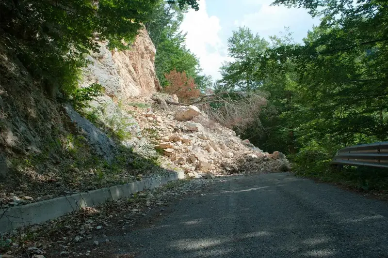 Il 94,5% dei comuni italiani è a rischio frane, erosione ed alluvioni, ma gli alberi possono proteggerci: ecco come
