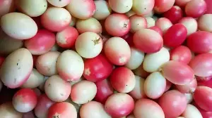 Karonda: The Berry That Brightens India's Monsoon Kitchens