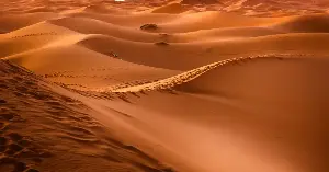 Understanding beach sand colors