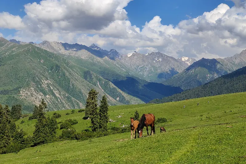 Huge parts of the country remain remote (James Draven)