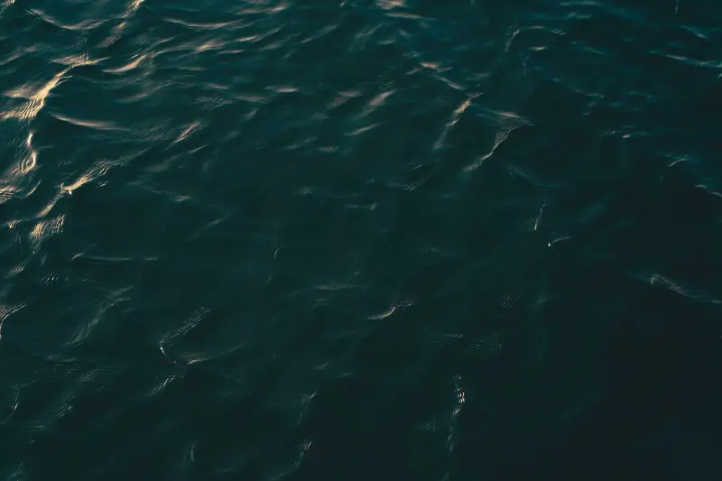 A close-up view of a dark ocean surface with gentle ripples under soft lighting.