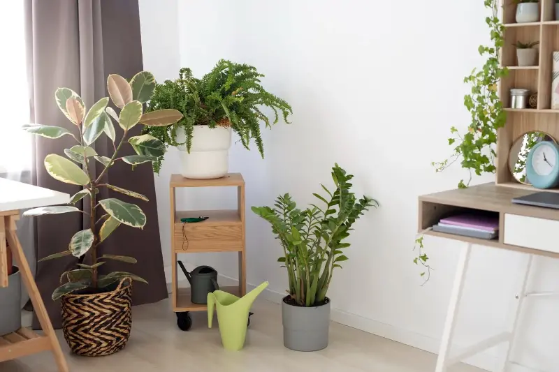 Add plants indoors for a touch of nature. 