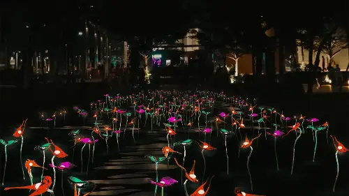 i Light Singapore 2025: Take a walk through the meadow with me