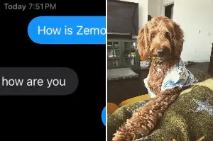 Man Texts Mom Dog Sitting His Labradoodle, Left Horrified at Her Reply