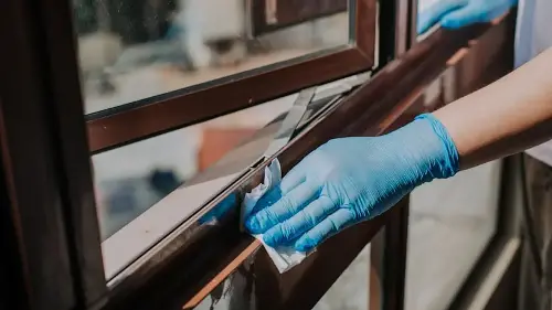 Close-up of a erson cleaning windowsills.
