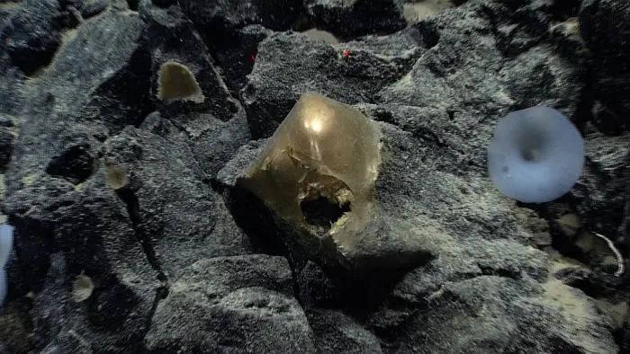 Encuentran una misteriosa esfera dorada en el fondo del océano y tardan años en descubrir qué era