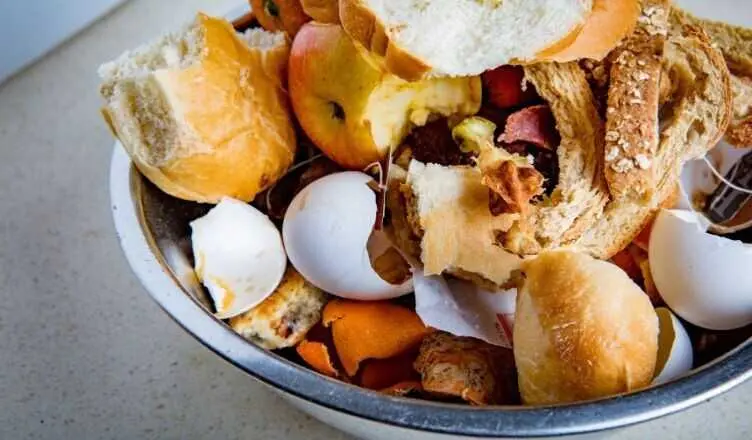 Un estudio de la Universidad Loyola identifica dónde se pierden y desperdician más alimentos según desarrollo del país