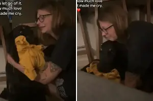 Couple Rescue Golden Retriever Mix—What He Does After 2 Days Breaks Hearts