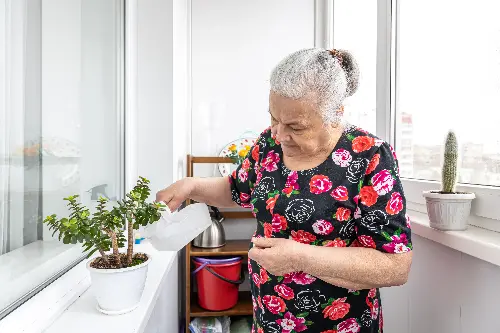 Accessible home lets the elderly be independent.