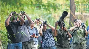Birders launch month-long ‘hornbill watch’ at Lodhi Garden