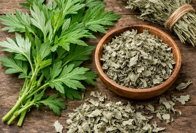 Bác sĩ: Ngải cứu vị thuốc giúp lưu thông máu huyết - Ảnh 1.