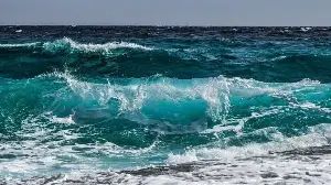Why ocean warming experiments may be making misleading predictions