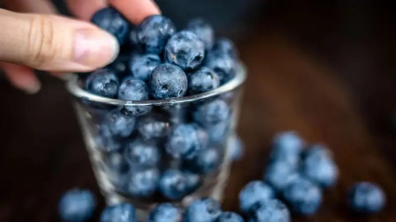 Die gesundheitlichen Vorteile von Heidelbeeren – mit am besten erforscht und beeindruckend