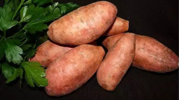 6 loại thực phẩm quen thuộc giúp cơ thể tự sản sinh keratin- Ảnh 3.