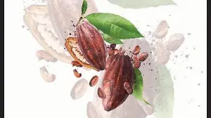 Rude Food by Vir Sanghvi: Choc it up to snobbery