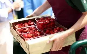 ‘Shrinkflation’ hits Wimbledon’s strawberries and cream