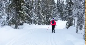 Everyone can roam freely in Finland