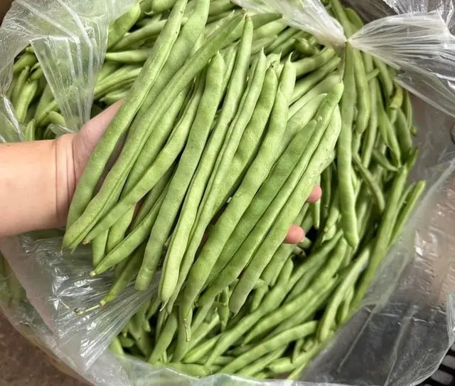 Rau mùa đông giúp ổn định đường huyết và cách chế biến đậu cove ngon miệng - Ảnh 2.