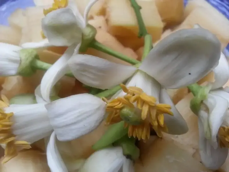 Mía ướp hoa bưởi, hoa nhài