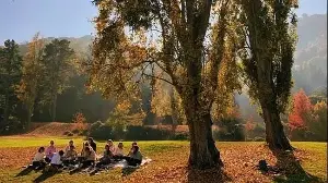 Spice of Life | Words bridge cultures, bring our world closer