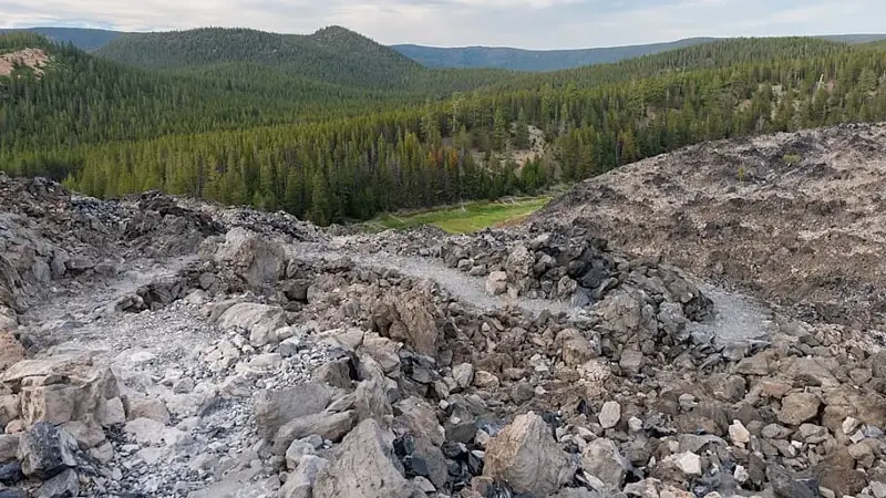 A segment of the Big Obsidian Flow in the foreground near Newberry Caldera with a pine forest in the backround