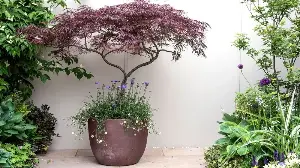 Make a Small Patio Feel Expensive With 3 Container Gardening Tricks Designers Swear By