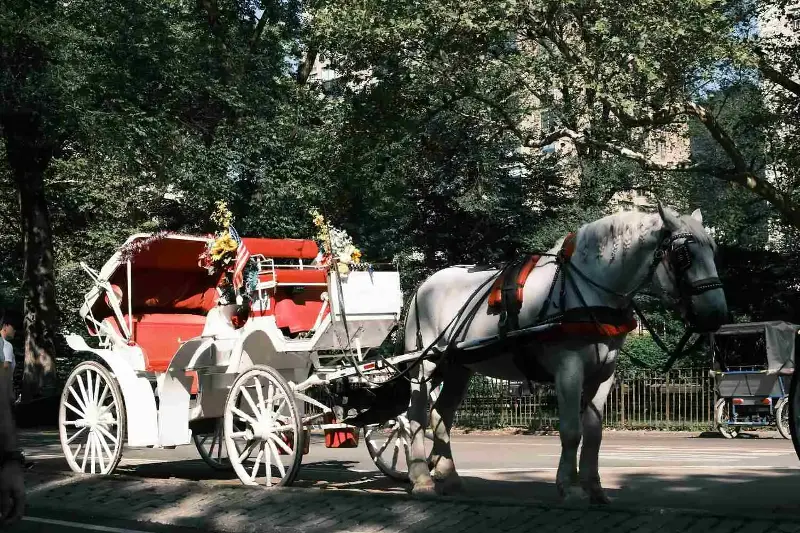 La fine delle carrozze a cavallo