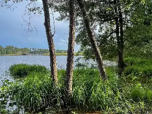 Boats, beaches, sights and bites: Your guide to South Carolina's Lake Murray this summer