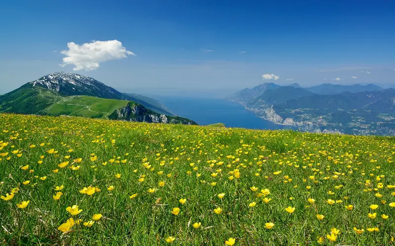 Discover alpine foothills and rolling hills on the beautiful Monte Baldo - ANDREAS STRAU