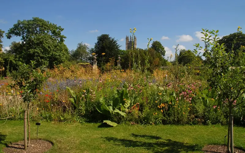The Oxford Botanic Garden is one of the most diverse – and most compact – collection of plants in the world - Toby Ord