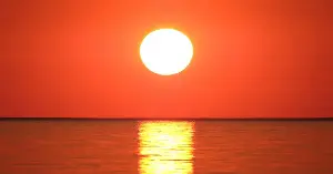 Most people think the Sun is a vast ball of burning gas, but that familiar picture is quietly wrong: the Sun is plasma, a fourth state of matter — atoms torn into charged particles, the same stuff as lightning and neon