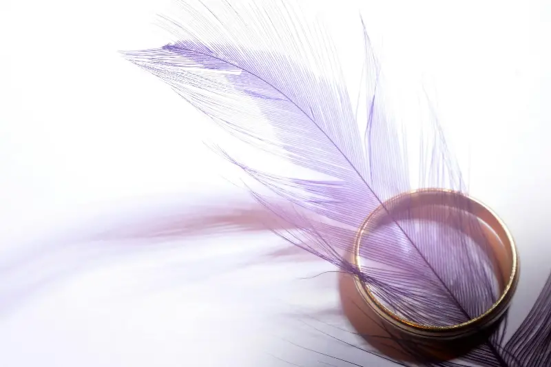 A delicate purple feather rests beautifully on a gold wedding ring, symbolizing elegance and romance.